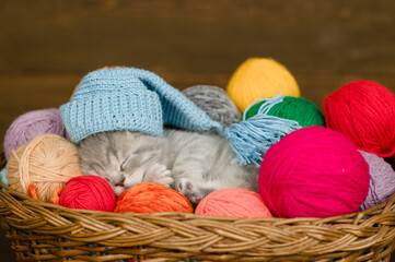 Fototapeta na wymiar Tiny kitten wearing warm hat sleeps inside a basket with clews of thread