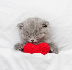 Tiny kitten sleeps on a bed under warm white blanket and holds re heart. Valentines day concept....