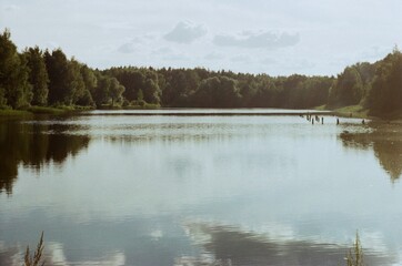 Fototapeta premium lake in the forest