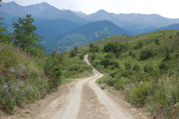 Fototapeta na wymiar Long road leading to the mountains