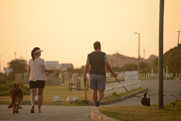 A woman and a man walking two dogs on leashes in the sunset hour