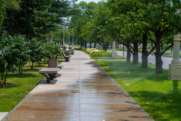 Pedestrian sidewalk with trees in hot summer. Irrigation systems irrigate the lawn and the sidewalk...