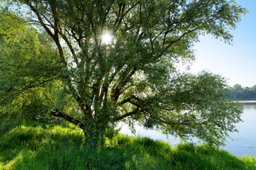 Loire river bank in Meung-sur-Loire village