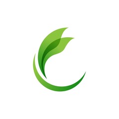 Green Tree leaf ecology nature element