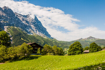 Grindelwald, Eiger, Eigernordwand, Alpen, Berner Oberland, Kleine Scheidegg, Wanderweg,...
