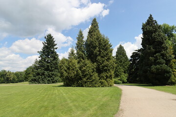 Nice sunny park with big trees and gravel path