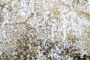 Concrete grey wall with old cracked paint. Black, grey, white and beige colors. Abstract photo background. Urban style texture. Building exterior. Cement unique and attractive textures