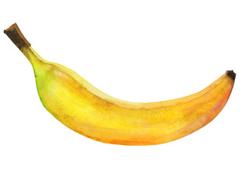 Watercolor hand drawn banana illustration clip aart isolated on white background