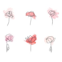 Outline minimalistic poppy flowers. Pink brush strokes and withe background. Hand drawn. 