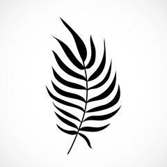 Fototapeta premium Vector Palm Tree Leaf Silhouette Isolated on White Background. Black exotic tropical plant part. Coconut palm branch
