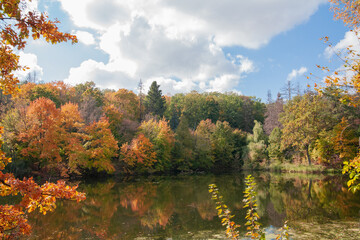 autumn forest on the shore of a quiet lake against the blue sky