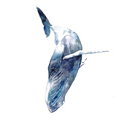 Watercolor illustration. Blue ' whale on the white background. © Elena Nikol
