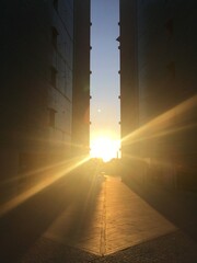 sunset - building - summer