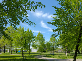 Nagele, Flevoland Province, The Netherlands