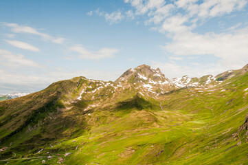 Naklejka premium Grindelwald, Berner Oberland, Schwarzhorn, Rötihorn, First, Waldspitz, Wanderweg, Höhenweg, Wanderferien, Grosse Scheidegg, Alpen, Schweizer Berge, Sommer, Schweiz
