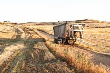 Fototapeta premium Harvest time 2021
