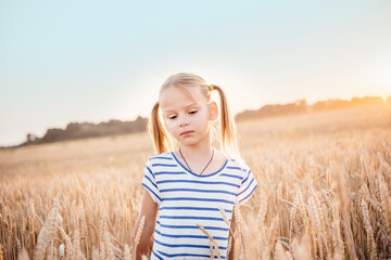 Cute little girl with two pony tails in the yellow wheat field at sunset summer landscape, summer...