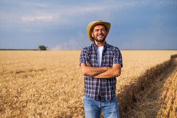 Naklejka na ściany i meble Farmer is standing in front of his wheat field while harvesting is taking place.