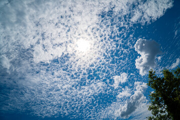 .Beautiful summer landscape outdoors, nice clouds