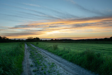 Dirt road between green fields and clouds after sunset