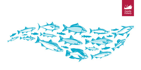 Vector fish illustration, fish flock or group, seafood banner