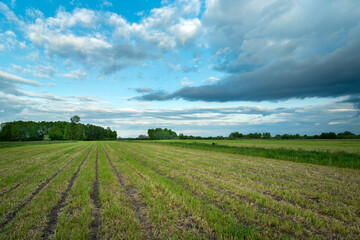 Fototapeta na wymiar Mown farmland and upcoming clouds on the sky