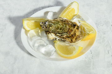 A plate with fresh oysters on the ice with lemon, ready to eat on a gray background, lifestyle,...