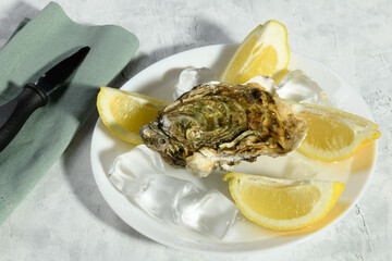 A plate with one fresh closed oyster on the ice with lemon and knife, ready to eat on a gray background, lifestyle, view from above, luxury seafood cutury board