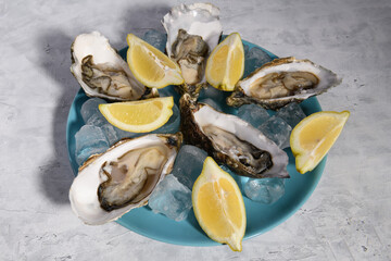 A plate with fresh oysters on the ice with lemon, ready to eat on a gray background, lifestyle, view from above, luxury seafood cutury board