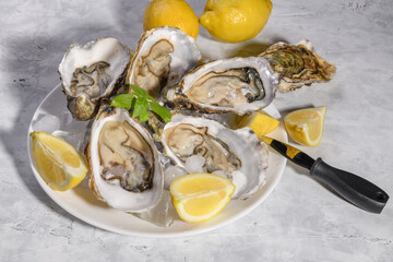 A plate with fresh oysters on the ice with lemon, ready to eat on a gray background, lifestyle, view from above, luxury seafood cutury board