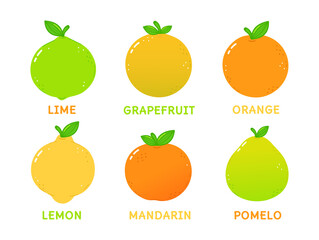 Funny cute happy citrus characters bundle set. Vector hand drawn cartoon kawaii character illustration icon. Isolated on white background. Cute citrus mascot character collection