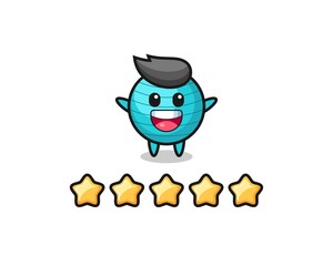 the illustration of customer best rating, exercise ball cute character with 5 stars