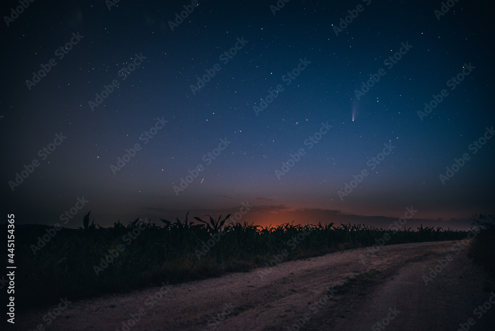 Wall mural night sky with stars