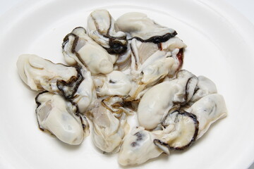 生牡蠣　魚介類