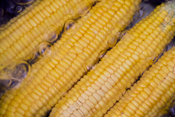 Gold corn in pot with boiling water