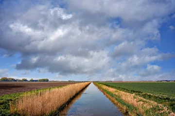 Fototapeten Landscape, Flevoland Province, The Netherlands © Holland-PhotostockNL