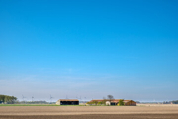 Fototapeta na wymiar Landscape, Flevoland Province, The Netherlands