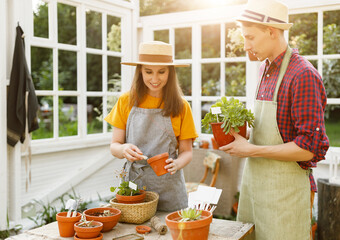 Delighted couple gardening in orangery together
