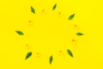 Flowers composition of wild spring yallow flowers, top view