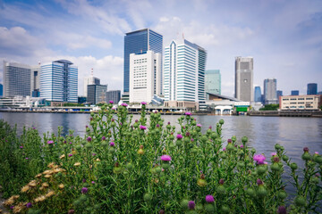 豊海水産埠頭から都心のビル群（竹芝桟橋）