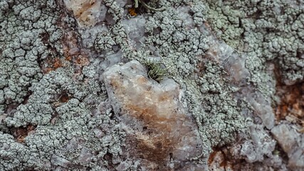 Stone, crystal, moss