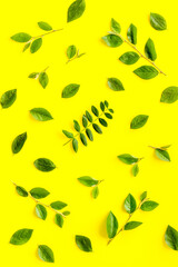 Green leaf branches top view. Floral pattern background