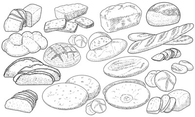 Set of natural elements of bread sketch vector illustration