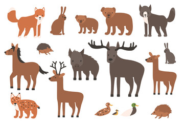 Set of cute forest animals. Cartoon isolated vector fox, wolf, bear, bear cub, elk, deer, fallow deer, hedgehog, hare, duck, duckling, lynx, horse, wild boar