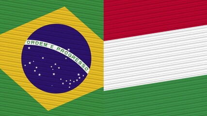 Hungary and Brazil Two Half Flags Together Fabric Texture Illustration