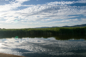 Paisaje de laguna con reflejos en verano.