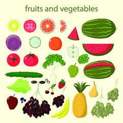 Set of elements for summer picnic. Picnic in park in summer. Collection of icons for picnic: vegetables, fruits, watermelon, pear, apple, grapes, tomatoes, pineapple. Vector illustration