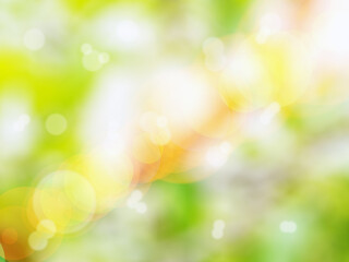 Fototapeta na wymiar Abstract green tree growth background in blurred bokeh and sunlight in pastel colors. Abstract nature background in pastel yellow and green colors. A beautiful pattern of natural bokeh in sunlight for