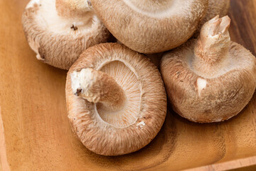 Close up of fresh shiitake mushrooms