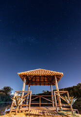 lounge chairs on the beach
